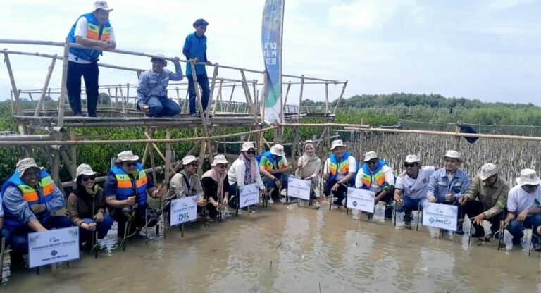 ASLIK3 Indonesia Tanam 2.500 Bibit Mangrove di Pantai Muara Baru
