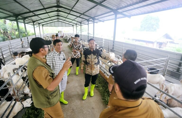 Komisi II Dorong Pemprov Lebih Perhatikan Balai Ternak Domba Garut