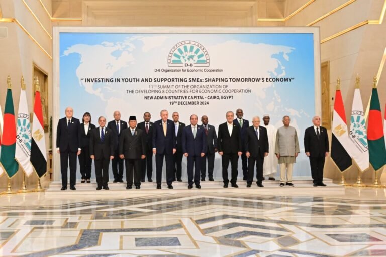 Presiden Prabowo Hadiri KTT D-8 di Kairo, Bahasa Situasi Palestina dan Lebanon