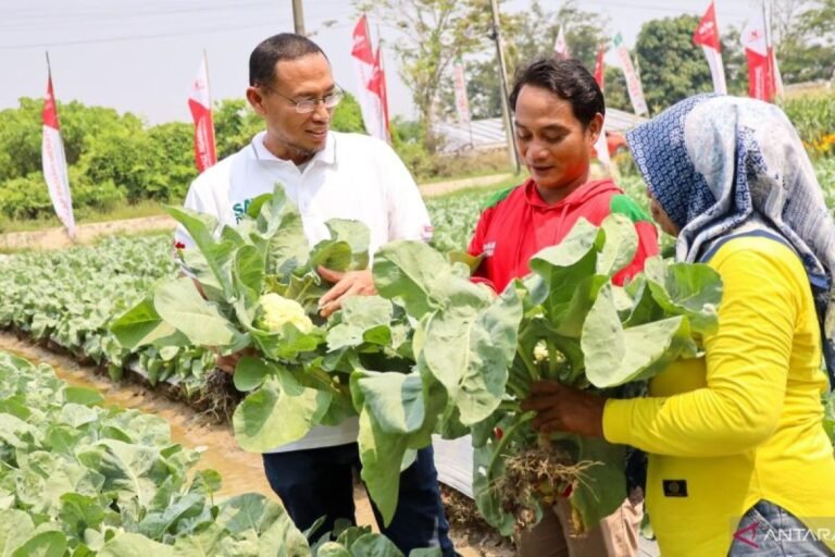Ratusan Petani Karawang Belajar Teknologi Pertanian Hortikultura