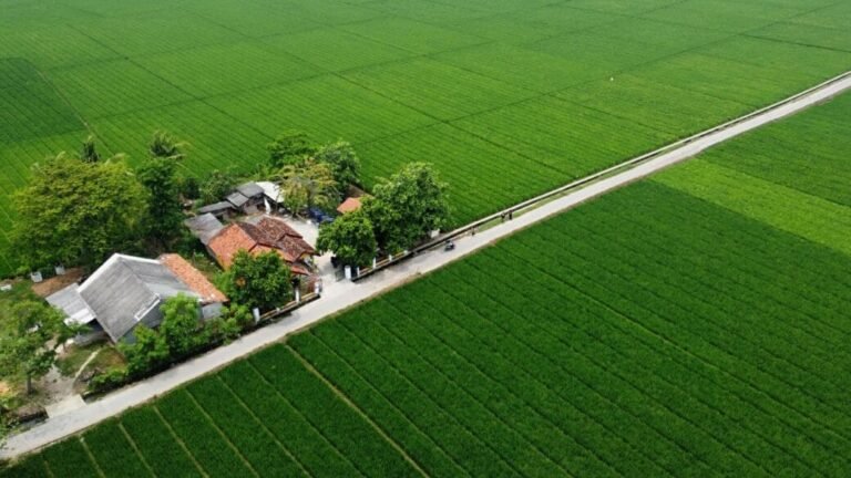 LP2B Diperkuat SE Pemprov, DPMPTSP Bekasi Ngaku Beberapa Kali Tolak Izin Perumahan