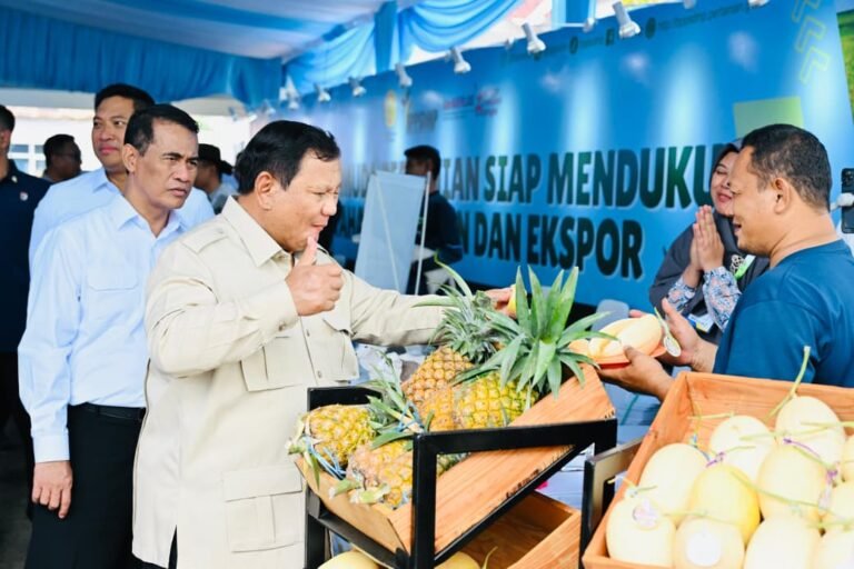 Presiden Prabowo Tinjau Hilirisasi dan Teknologi Pertanian Modern di Karawang