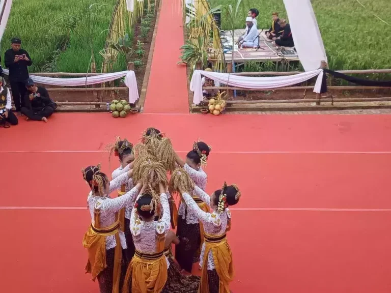 Prosesi Panen Padi ‘Mipit Nyi Pohaci’, Hidupkan Kembali Budaya Leluhur