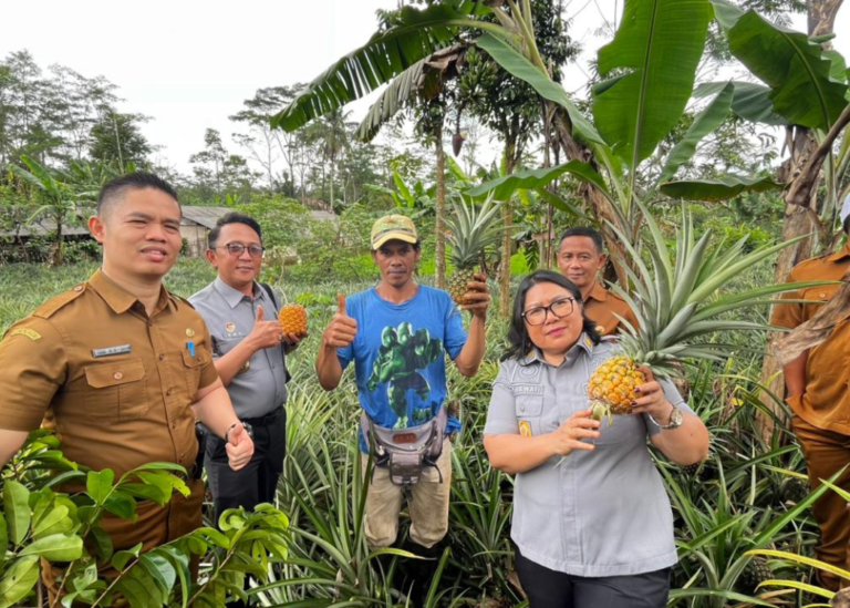 Kemenkum Jabar Kawal Pendaftaran Nanas Madu sebagai Komoditas Unggulan Subang