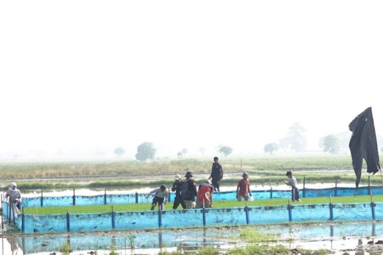 Karawang Jadi Tuan Rumah Gerakan Pengendalian PBP