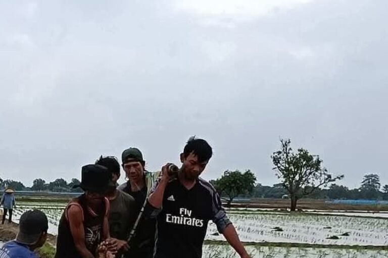 2 Buruh Tani di Pantura Subang Tewas Tersambar Petir
