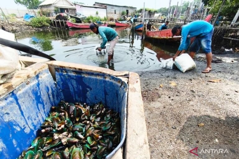 Perairan Tarumjaya – Bekasi Diduga Tercemar Limbah Industri, Nelayan Sampai Menjerit Minta Bantuan Prabowo dan Dedi Mulyadi