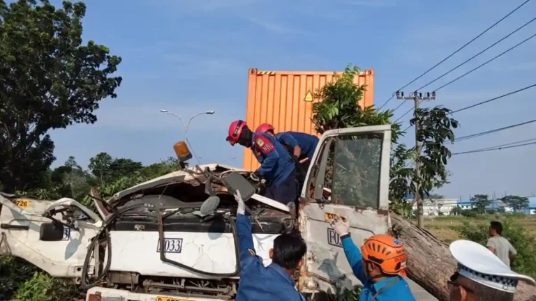 Pohon Tumbang di Karawang Timpa Truk Kontainer Peti Kemas, Sopir dan Penumpang Perempuan Tewas