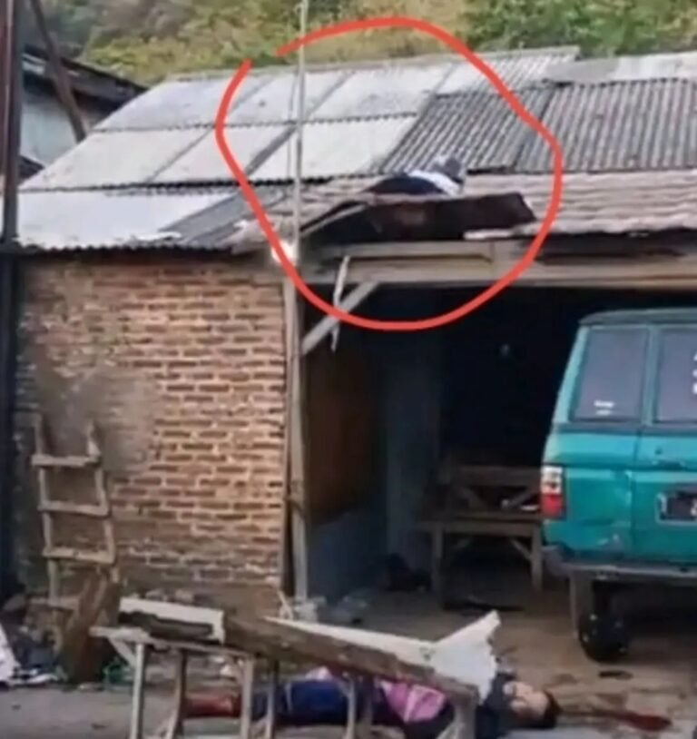 Ditabrak Minibus, Pemotor Ayah dan Putrinya Tewas Sampai Terpental ke Atap Bengkel