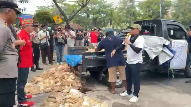 Protes Pemadaman Listrik Bergilir, Pendemo Tumpahkan Bangkai Ayam