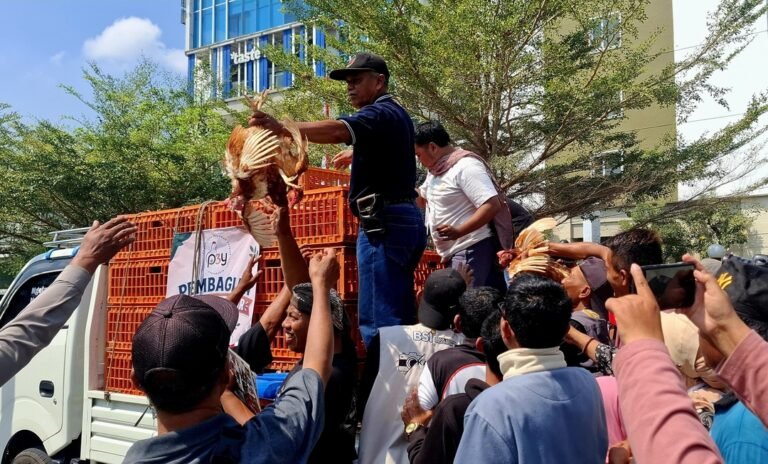 Bentuk Protes Harga Telur Terus Anjlok, Peternak di Yogyakarta Bagikan Ribuan Ekor Ayam