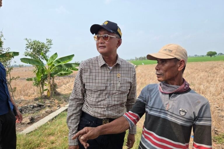Temukan Ribuan Lahan Sawah di Bekasi Kekeringan, Menteri PU Ancam Copot Pejabat yang Beri Laporan Palsu
