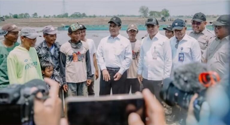 Pastikan Bantuan Pompanisasi Bermanfaat bagi Petani, Mentan Amran Sidak Sawah di Kota Lumbung Padi